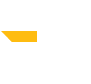 Texas icon